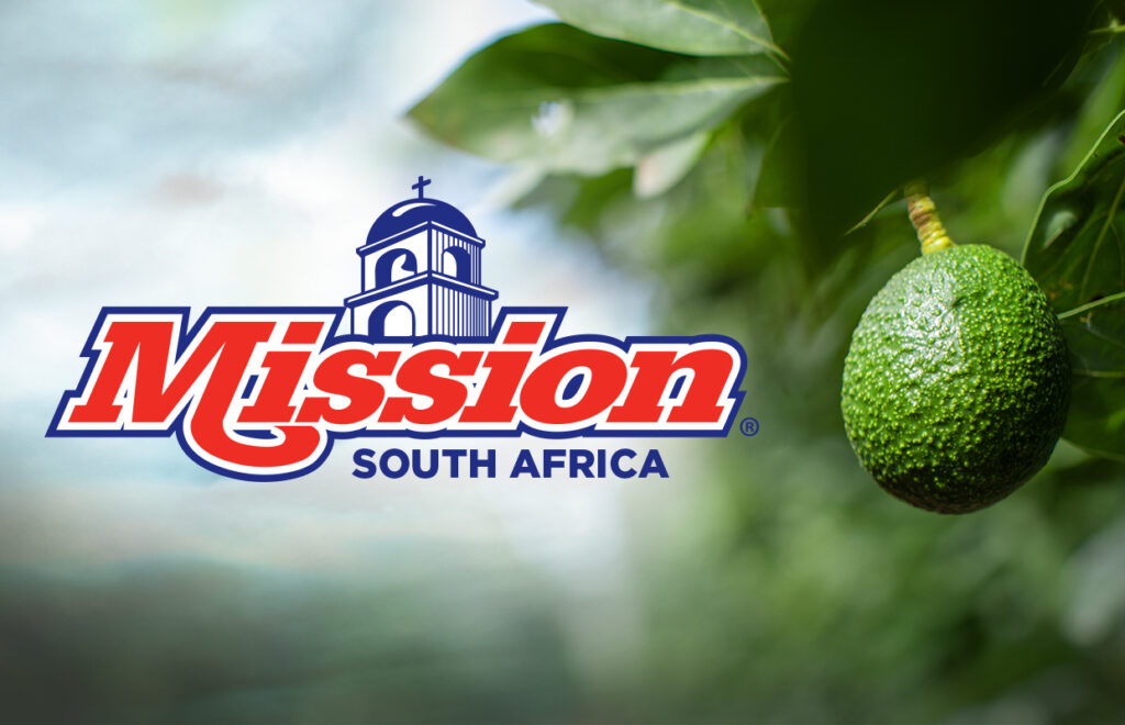 Mission South Africa