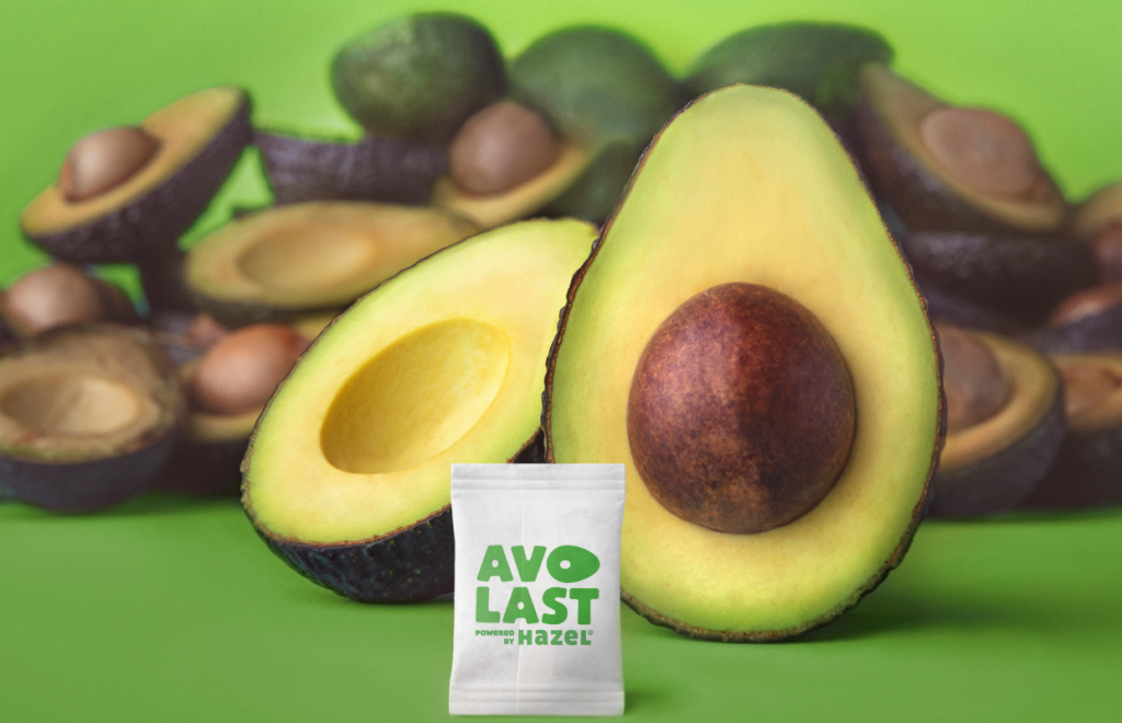 Avo Last Powered by Hazel