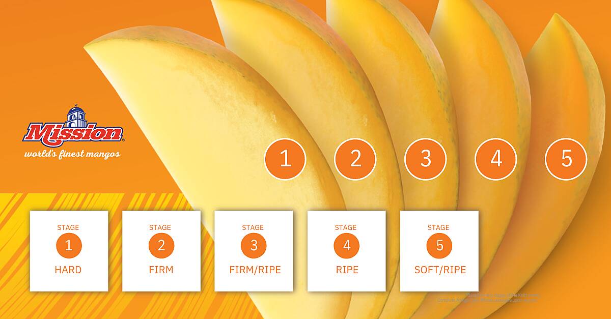 Mango ripeness chart
