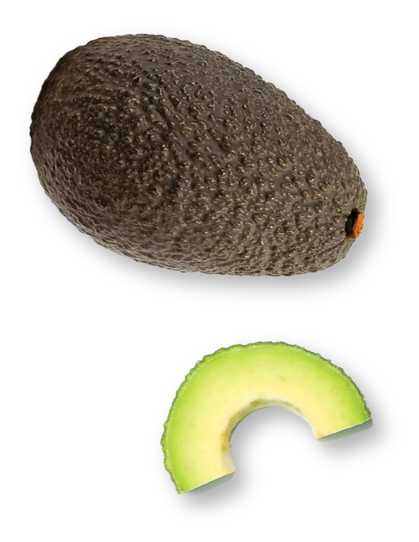 full avocado and a slice