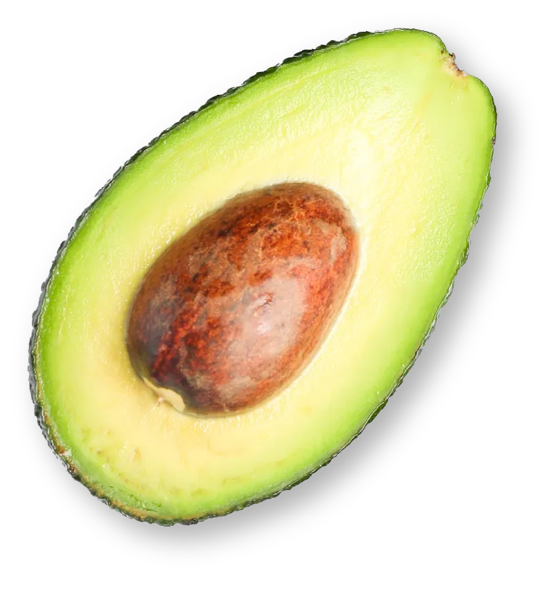 avocado cut in half with pit showing