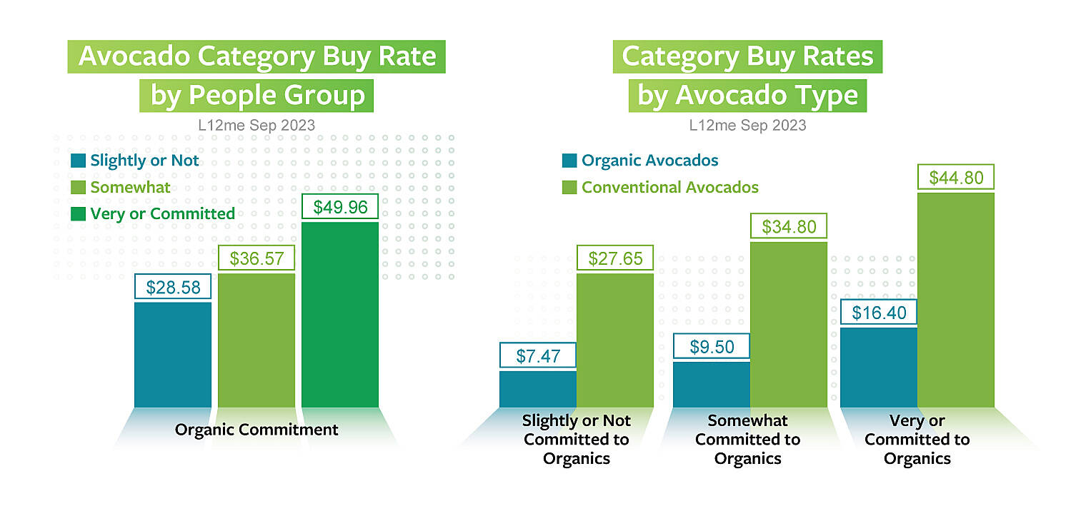 Avocodo sales charts