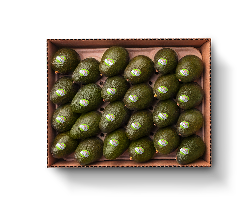 24ct avocado pack
