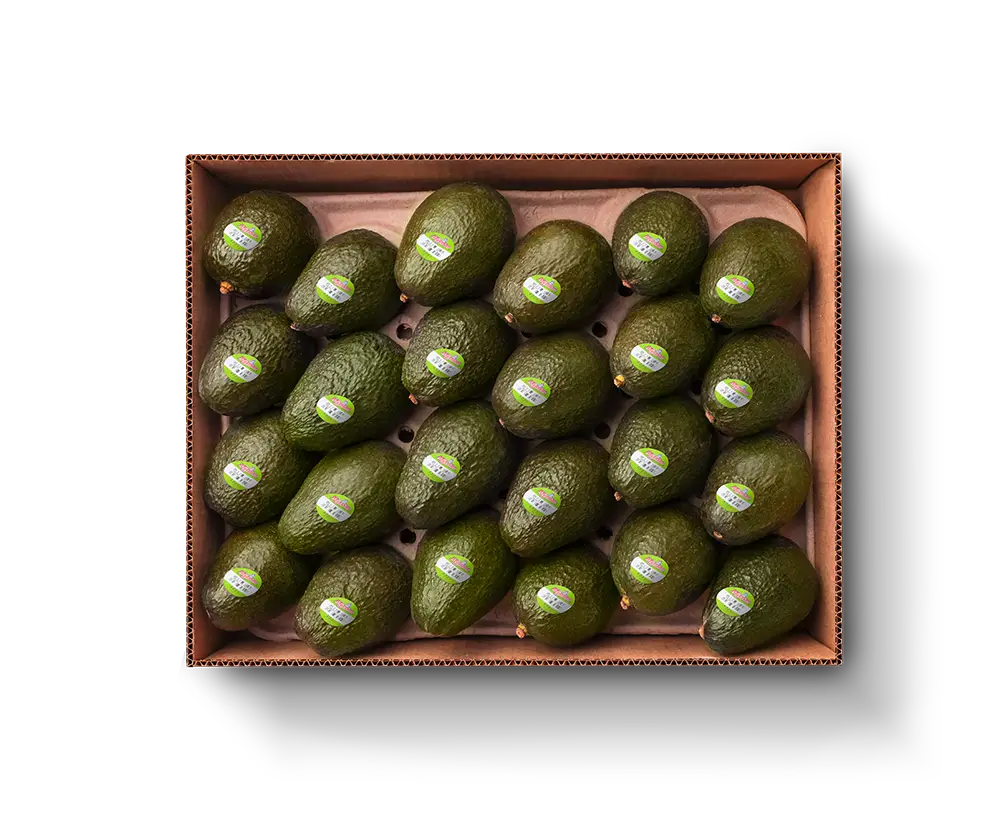 24ct avocado pack