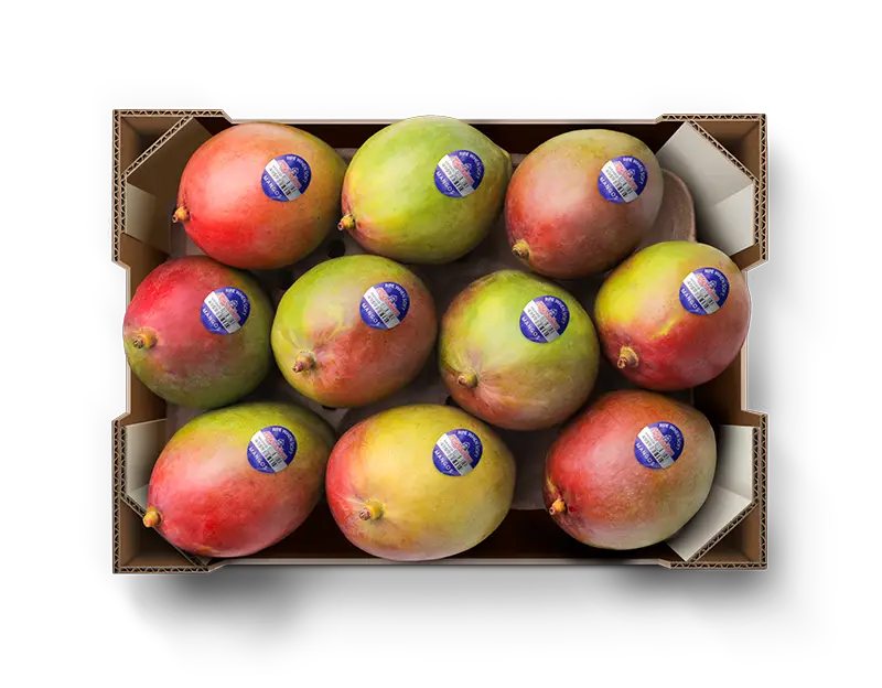 Mango carton