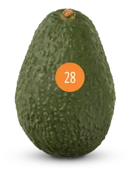 avocado size 28