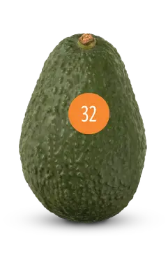 avocado size 32
