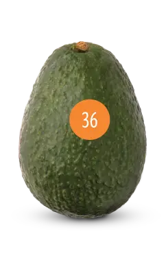 avocado size 36