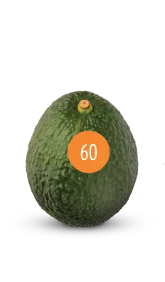 avocado size 60