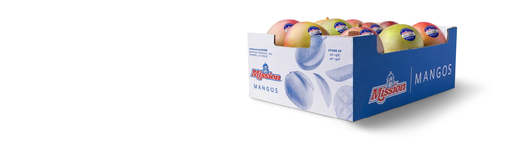 mango case