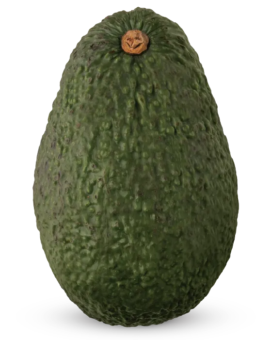 avocado