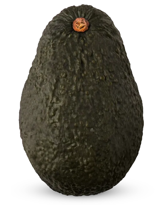 avocado