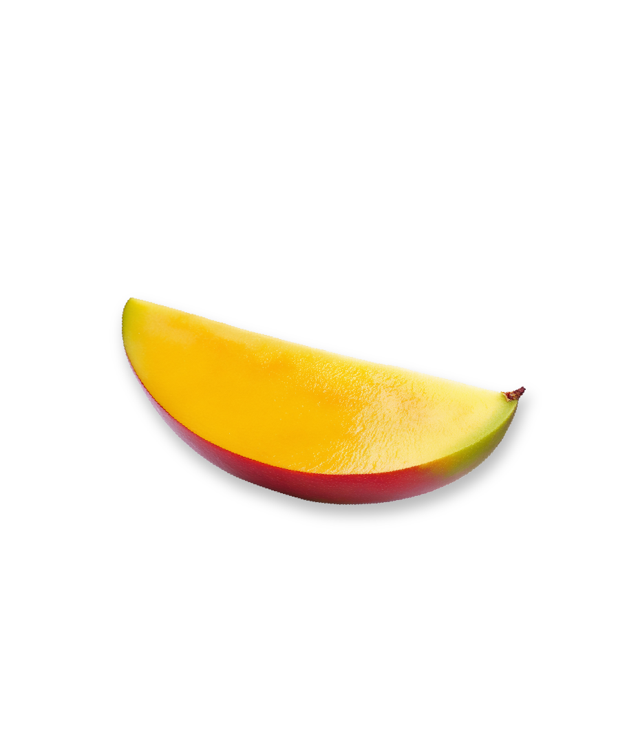 mango slice angled