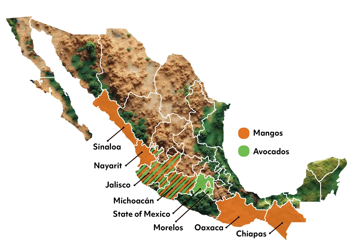 Mission Mexico Map