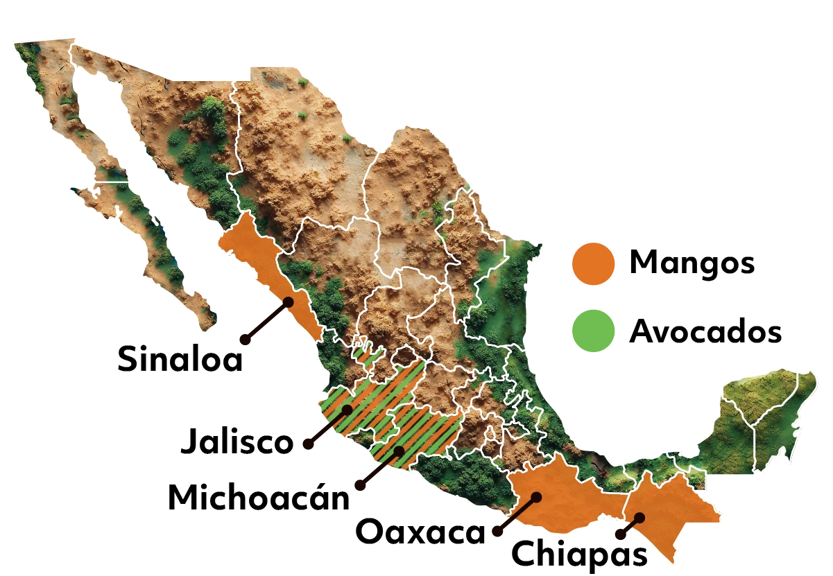 Mission Mexico Map