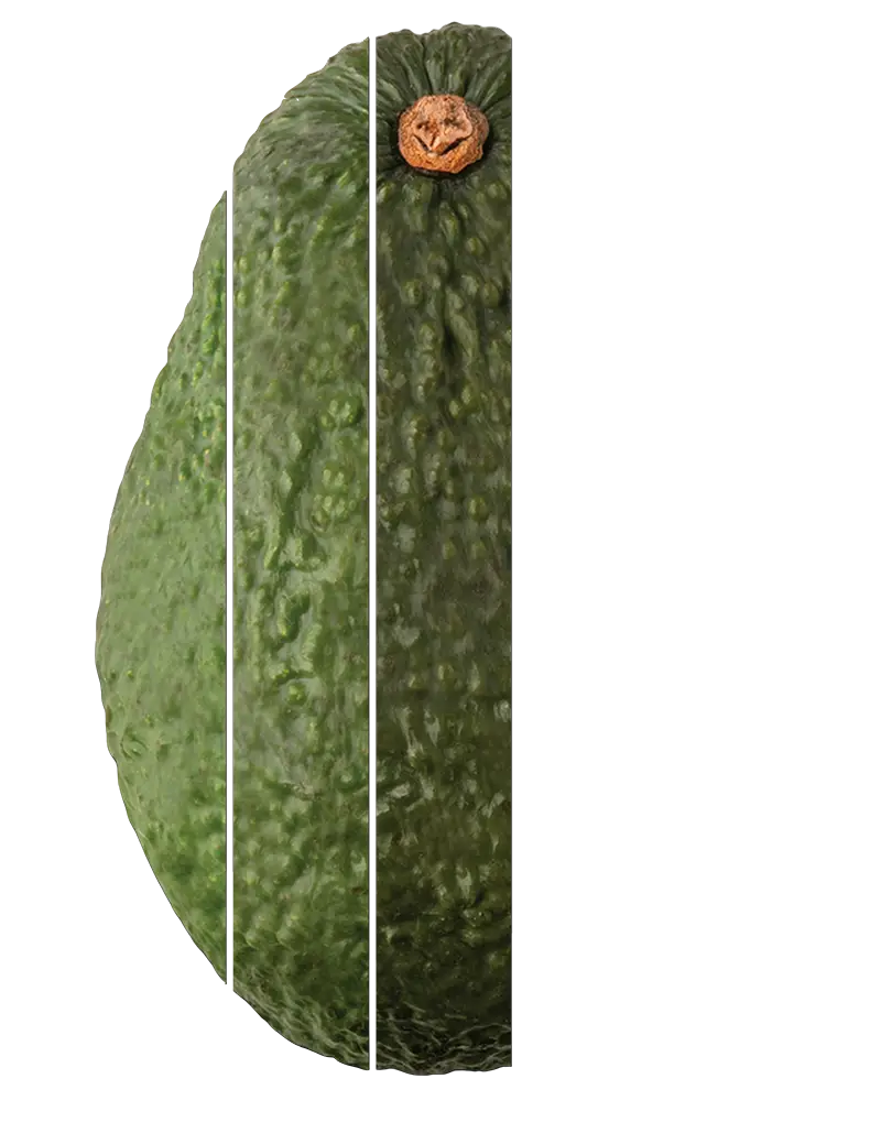 avocado 60% full