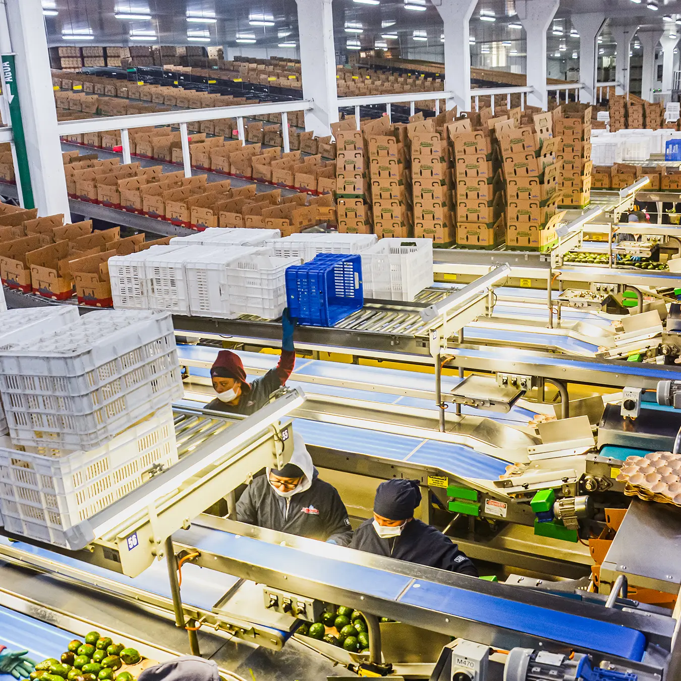 Mission packing facility