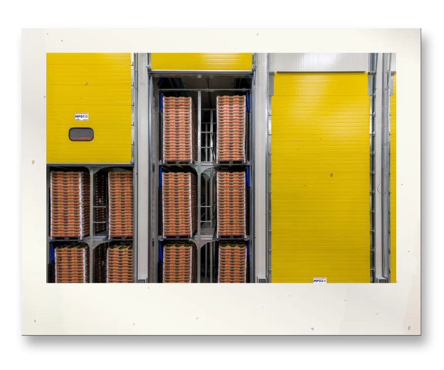 Framed photo of the interior of a Mission Produce warehouse