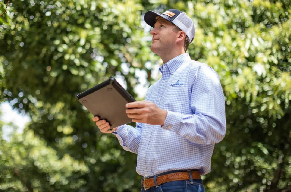 Mission worker with tablet looking at trees