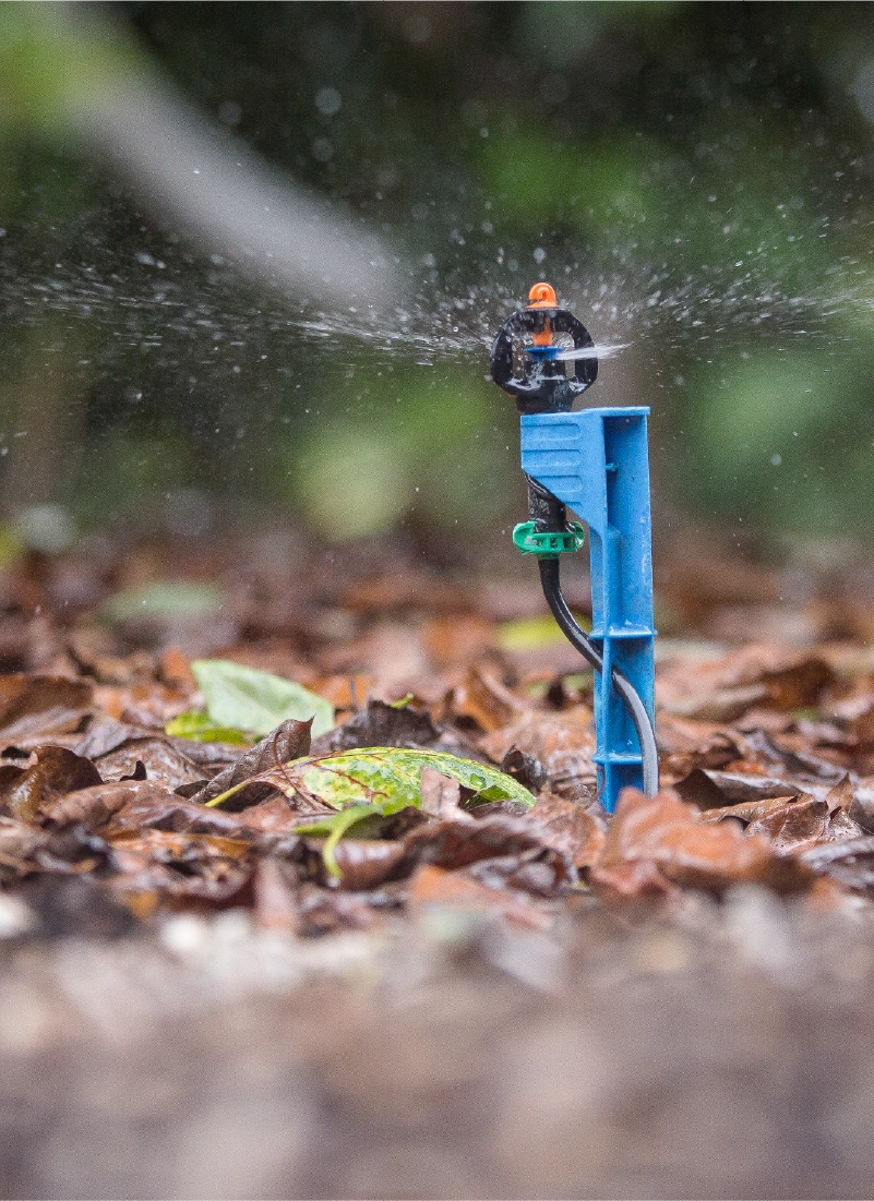 irrigation sprinkler