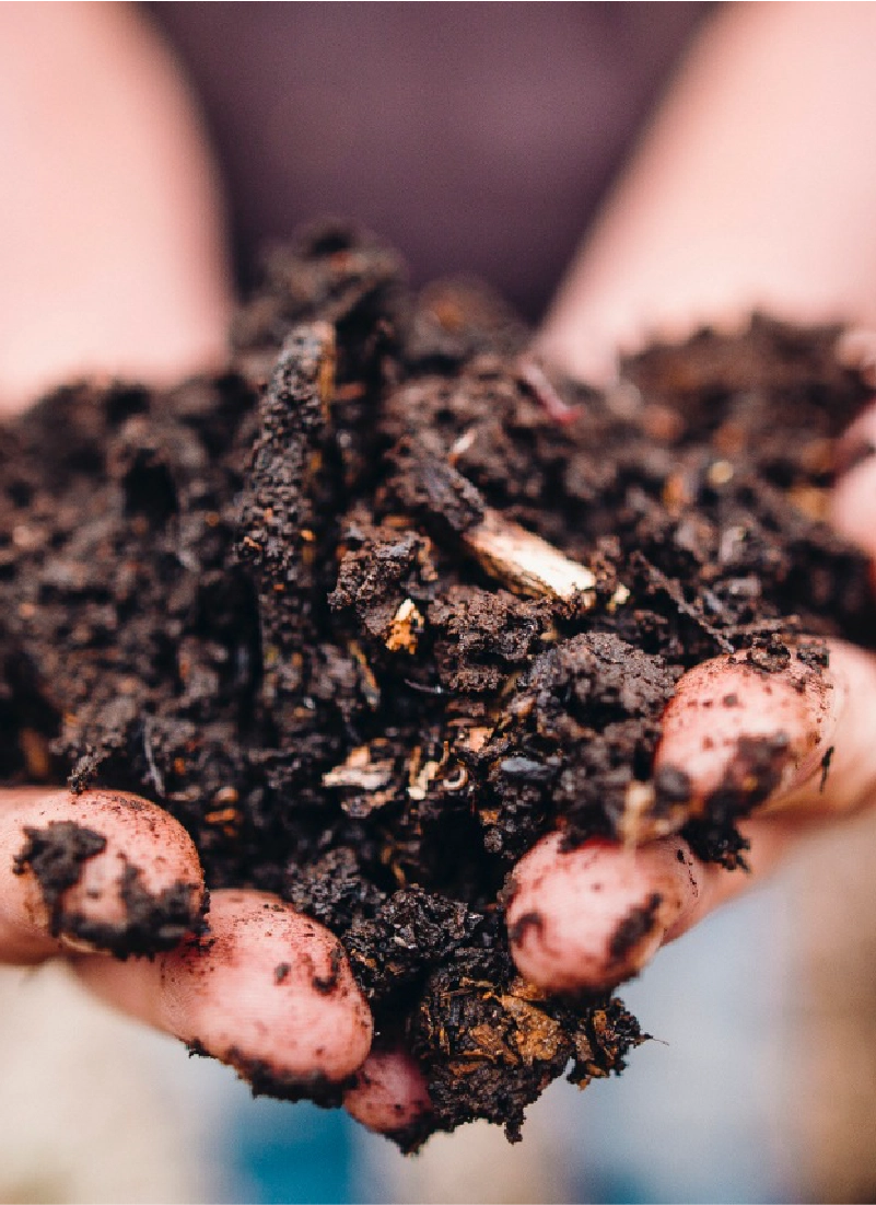 hands holding fertile dirt