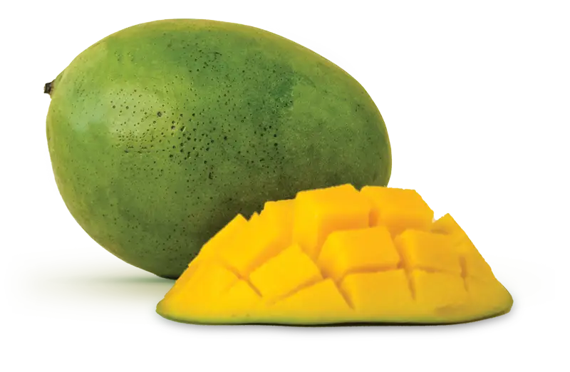 Keitt mango