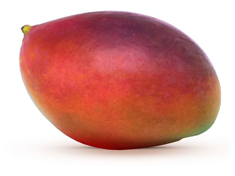 Palmer Mango