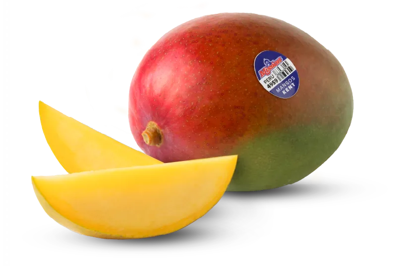 Kent mango