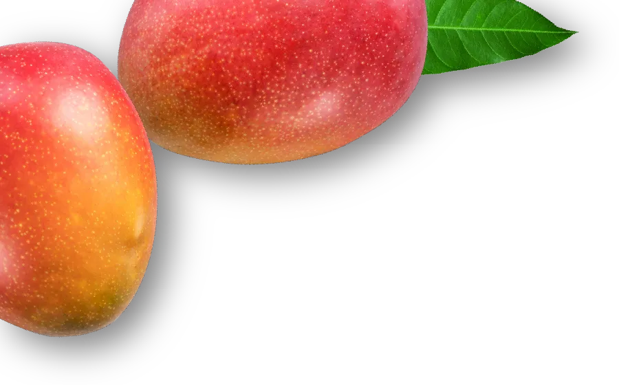 mangos
