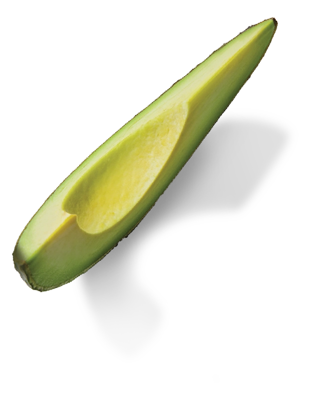 avocado slice