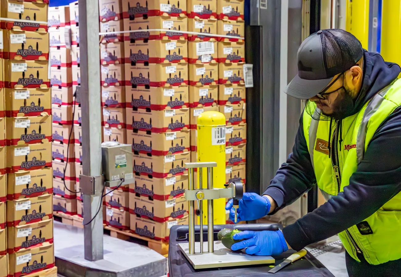 Mission Employee testing avocados with cases of Mission avocado boxes in the background