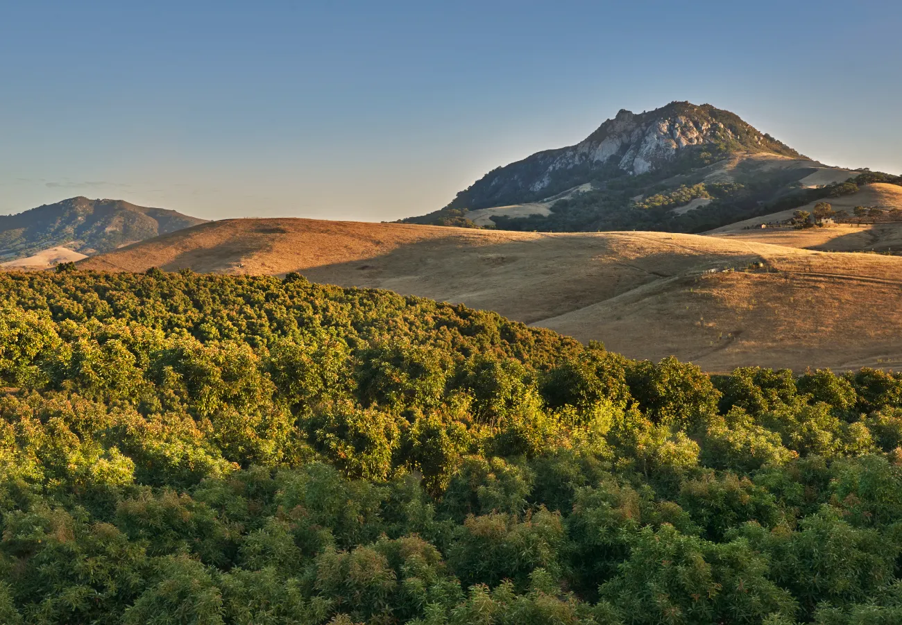 aerial view of mountains and field in California
