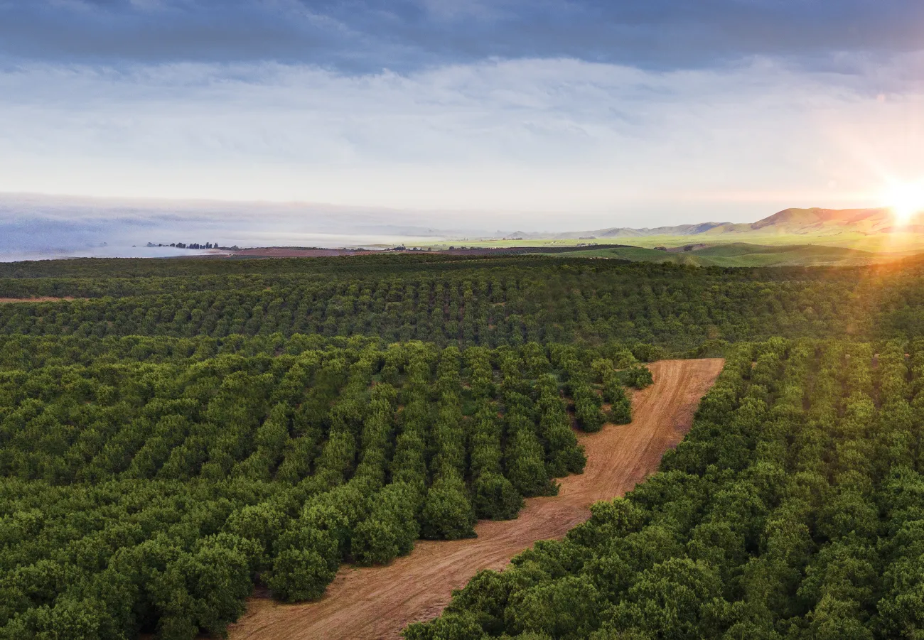 aerial view of field in Peru
