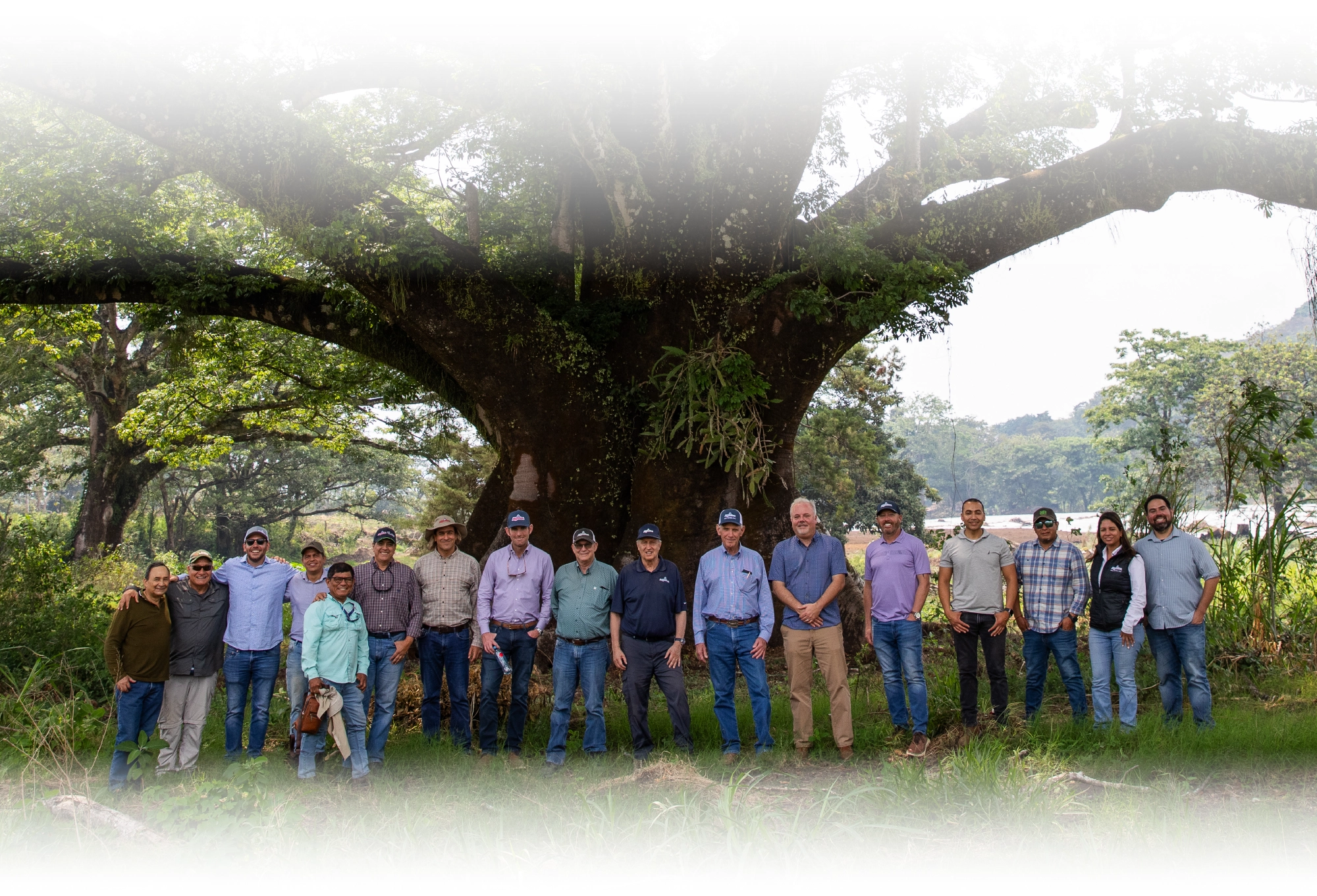 Mission team standing together under a large tree